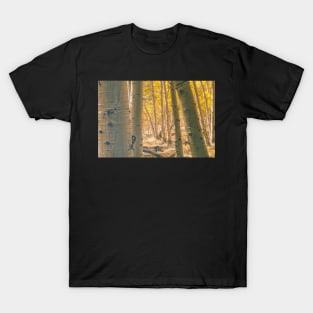 Autumn  Aspens T-Shirt